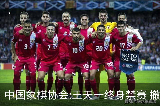 中国象棋协会:王天一终身禁赛 撤销特大等称号